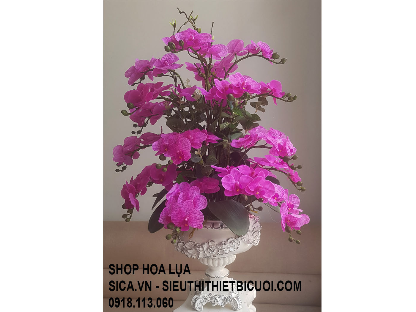 Binh hoa lan hồ điệp